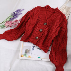 Autumn and Winter Women's Knit Cardigan Short Cardigan Tops Chic Students Loose Solid Color Single-breasted Sweater GD149