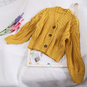 Autumn and Winter Women's Knit Cardigan Short Cardigan Tops Chic Students Loose Solid Color Single-breasted Sweater GD149