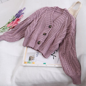 Autumn and Winter Women's Knit Cardigan Short Cardigan Tops Chic Students Loose Solid Color Single-breasted Sweater GD149